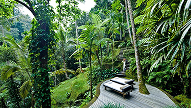 Como Shambhala Estate 5* 3