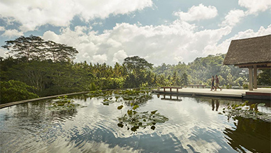 Four Seasons Resort Bali at Sayan 5* de Luxe 3